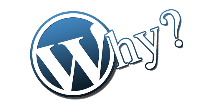 Why is Wordpress so popular?